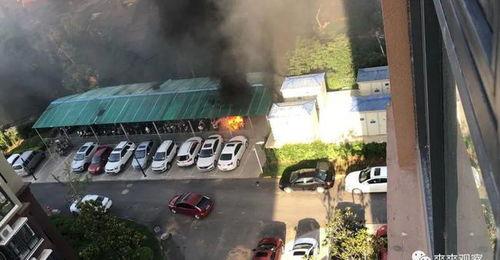 河南一小区爆料视频大全,揭秘社区生活众生相